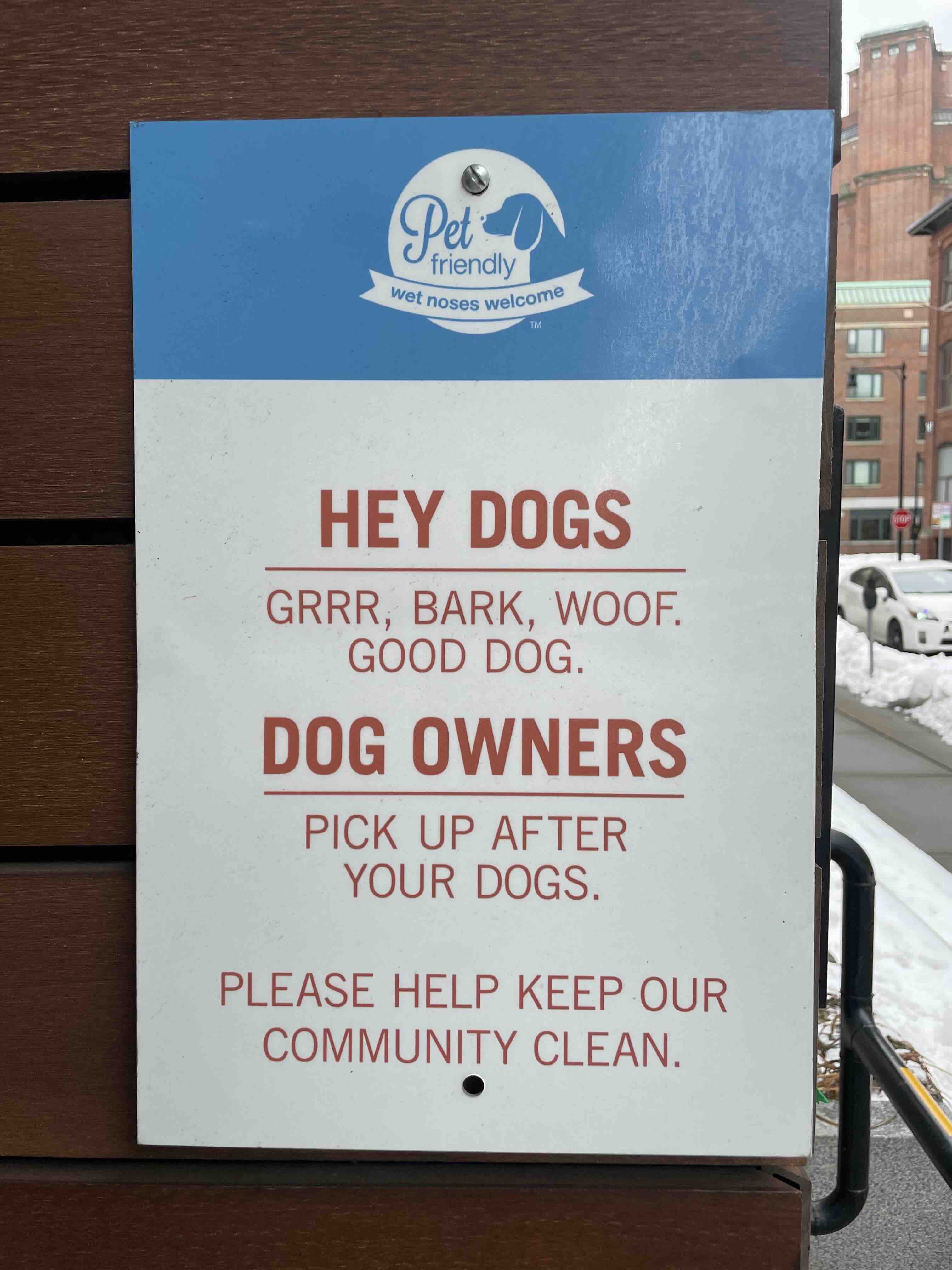 Hey dogs